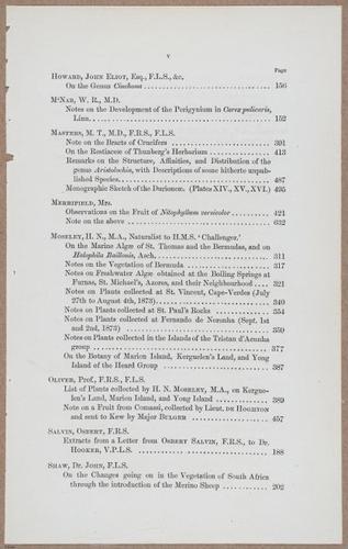 E805 - Linnean - i14051