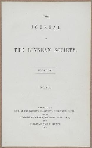 E805 - Linnean - i14073