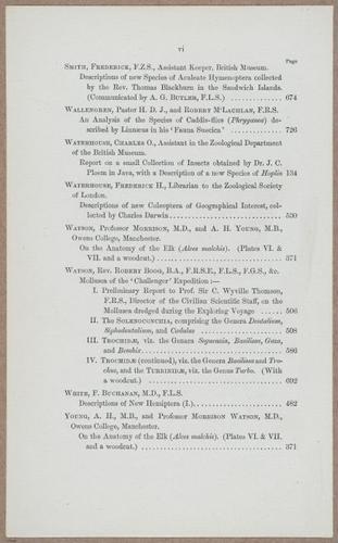 E805 - Linnean - i14078