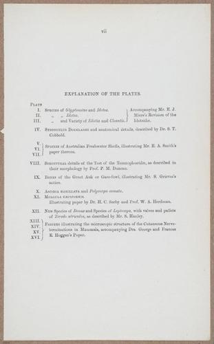 E805 - Linnean - i14120