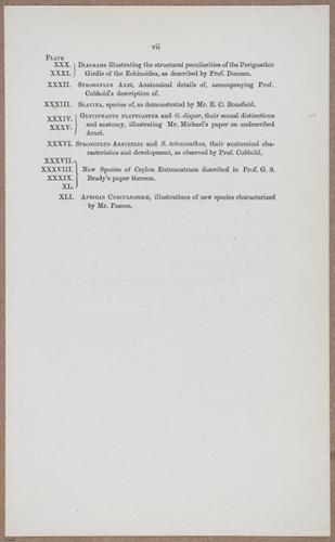 E805 - Linnean - i14350