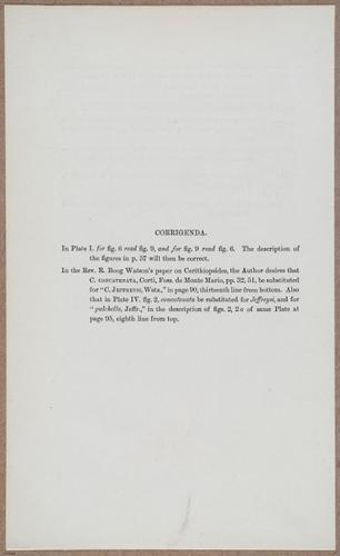E805 - Linnean - i14351