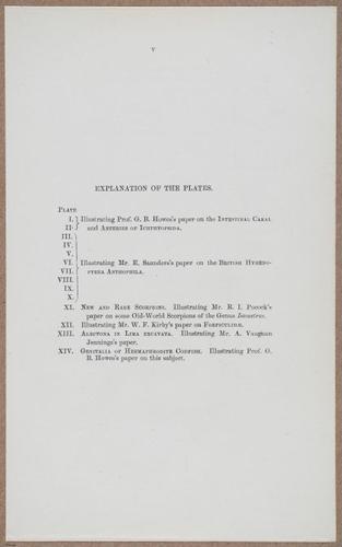 E805 - Linnean - i14435