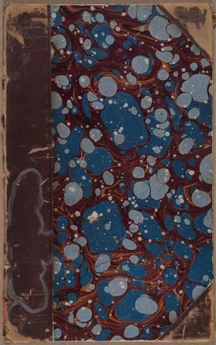 E805 - Linnean - i14502