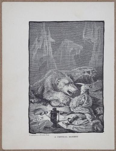 E810 - Frozen Seas - i14696