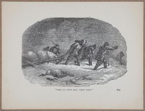 E810 - Frozen Seas - i14797