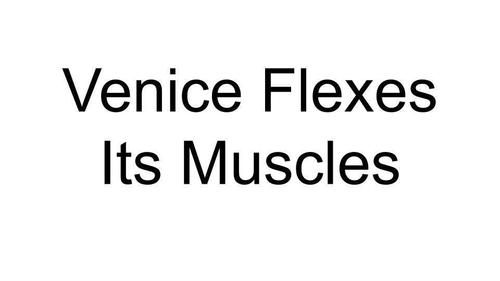 Venice Flexes Its Muscles