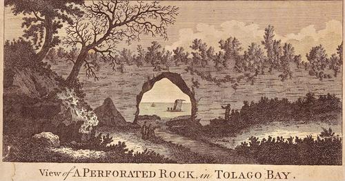 View of A Perforated Rock, in Tolago Bay