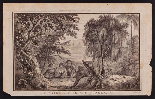 A View in the Island of Tanna