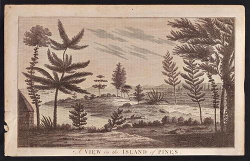 A View in the Island of Pines