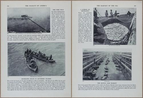 E816 - Pageant of America, Vol 3 - 16638-16639
